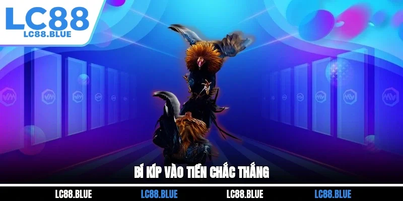 Bí kíp vào tiền chắc thắng