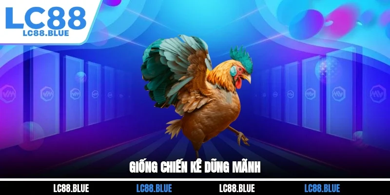 Giống chiến kê dũng mãnh
