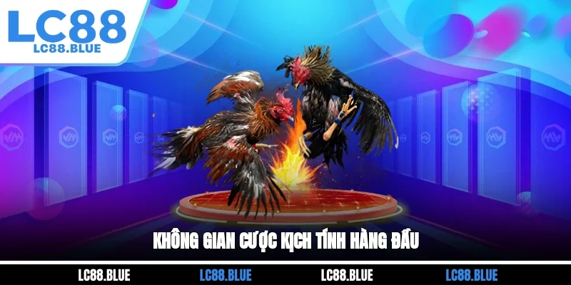 Không gian cược kịch tính hàng đầu