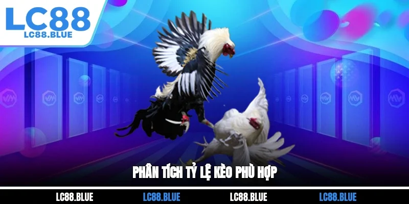 Phân tích tỷ lệ kèo phù hợp