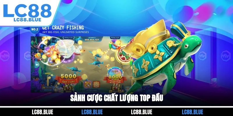 Sảnh cược chất lượng top đầu