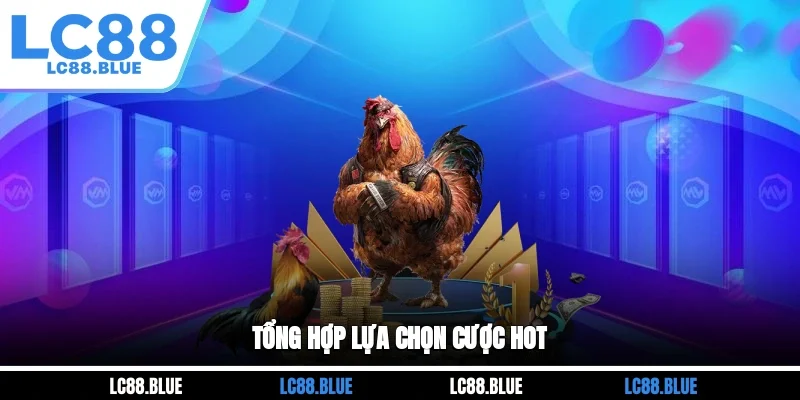 Tổng hợp lựa chọn cược hot